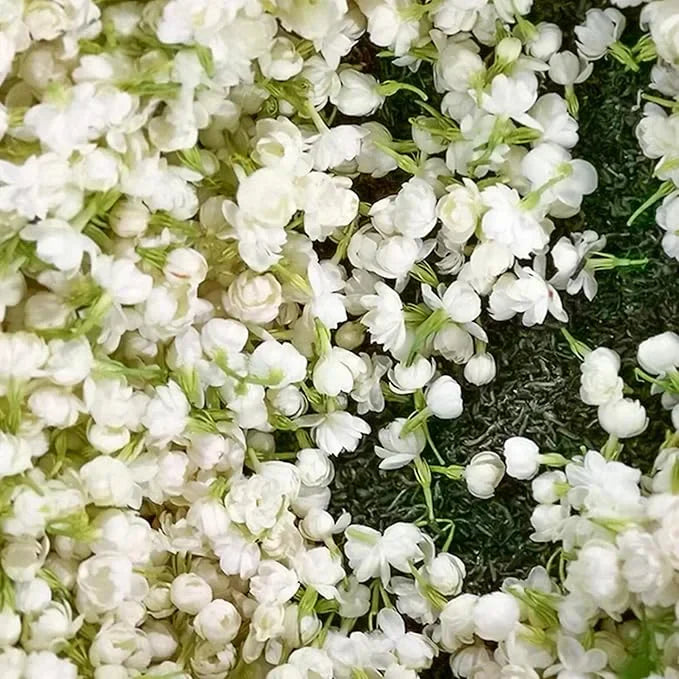 🔥LAST DAY Promotion 49% OFF 🌸Beautiful Jasmine Plant(Can be planted in winter)